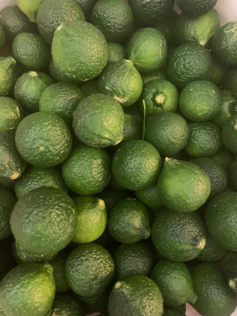 Yeşil Bodrum Mandalini (10 kg)